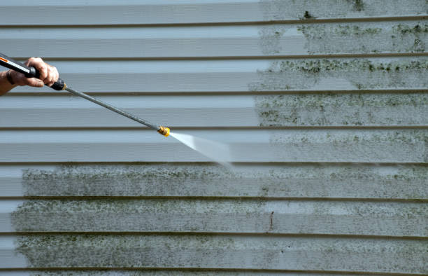 Best Residential Pressure Washing Services  in Amery, WI