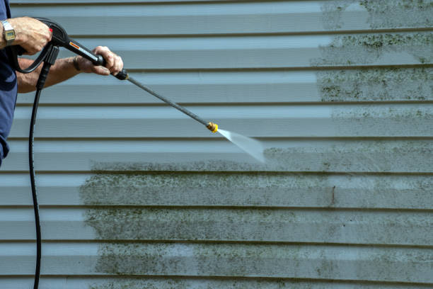 Best Pressure Washing Company Near Me  in Amery, WI