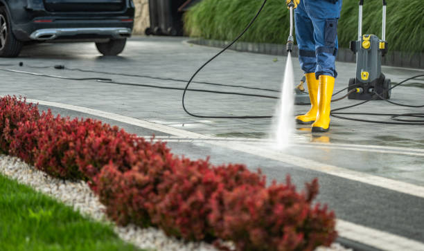 Best Affordable Pressure Washing  in Amery, WI