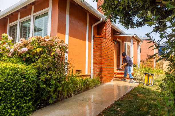 Best Pressure Washing Near Me  in Amery, WI